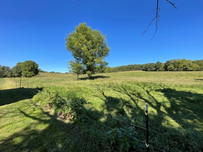 Brethorst Farm Tract 1 50.21 +/- ac - image 13