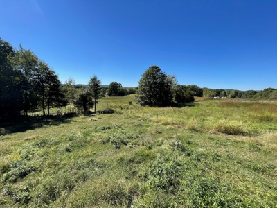 Brethorst Farm Tract 1 50.21 +/- ac - image 24