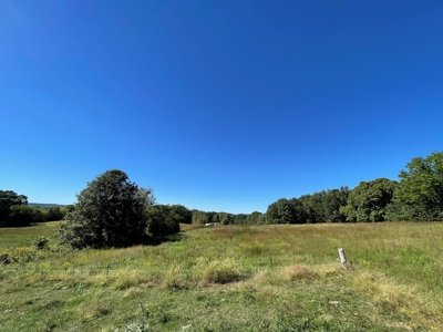 Brethorst Farm Tract 1 50.21 +/- ac - image 23