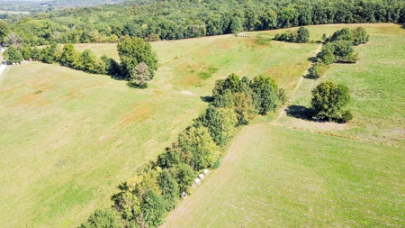 Brethorst Farm Tract 1 50.21 +/- ac - image 30