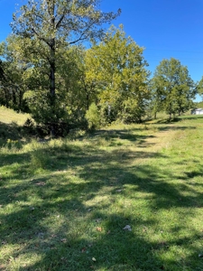 Brethorst Farm Tract 1 50.21 +/- ac - image 7