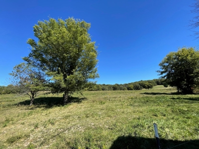 Brethorst Farm Tract 1 50.21 +/- ac - image 17