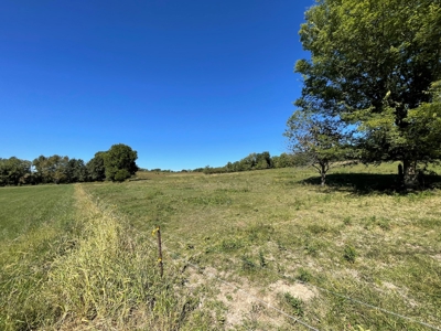 Brethorst Farm Tract 1 50.21 +/- ac - image 16