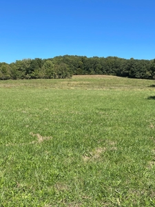 Brethorst Farm Tract 1 50.21 +/- ac - image 18