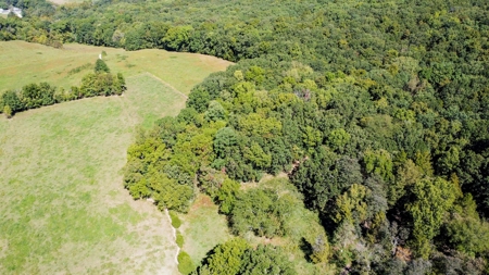 Brethorst Farm Tract 1 50.21 +/- ac - image 36
