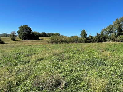 Brethorst Farm Tract 1 50.21 +/- ac - image 20