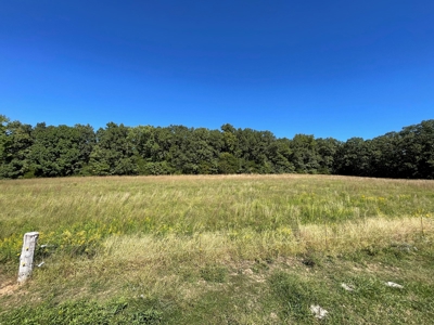 Brethorst Farm Tract 1 50.21 +/- ac - image 22