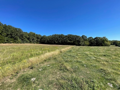 Brethorst Farm Tract 1 50.21 +/- ac - image 21