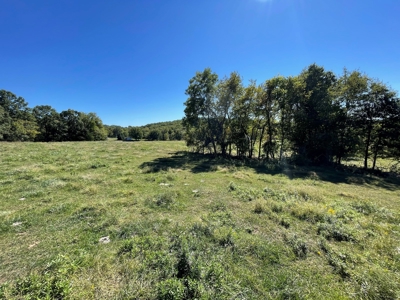 Brethorst Farm Tract 1 50.21 +/- ac - image 25