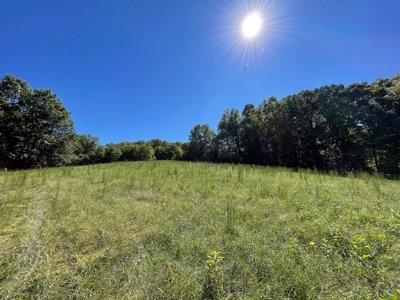 Brethorst Farm  Tract 2 - 27.48 +/- ac - image 10