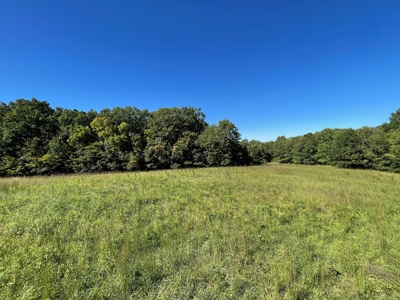 Brethorst Farm  Tract 2 - 27.48 +/- ac - image 7