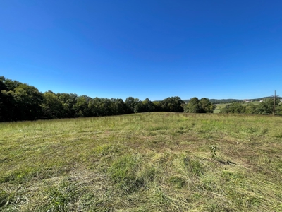 Brethorst Farm  Tract 2 - 27.48 +/- ac - image 11