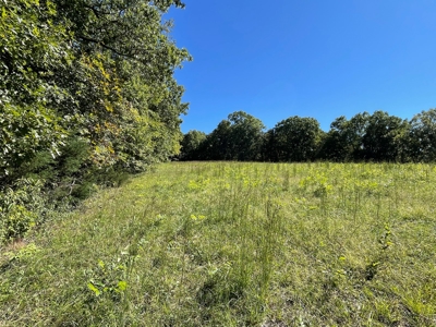 Brethorst Farm  Tract 2 - 27.48 +/- ac - image 9