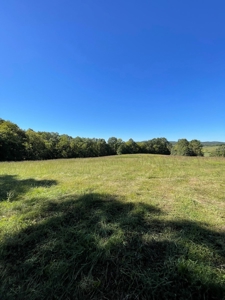 Brethorst Farm  Tract 2 - 27.48 +/- ac - image 1