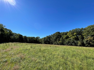 Brethorst Farm  Tract 2 - 27.48 +/- ac - image 6