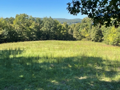 Brethorst Farm  Tract 2 - 27.48 +/- ac - image 8