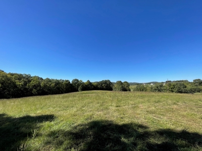 Brethorst Farm  Tract 2 - 27.48 +/- ac - image 2