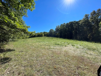 Brethorst Farm  Tract 2 - 27.48 +/- ac - image 4