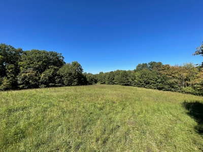 Brethorst Farm  Tract 2 - 27.48 +/- ac - image 5