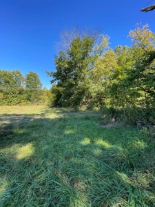 Brethorst Farm  Tract 2 - 27.48 +/- ac - image 3