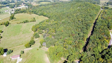 Brethorst Farm Tract 3 - 18.21 +/- acres - image 19
