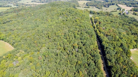 Brethorst Farm Tract 3 - 18.21 +/- acres - image 18