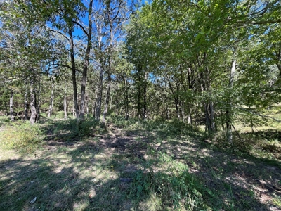 Brethorst Farm Tract 3 - 18.21 +/- acres - image 1