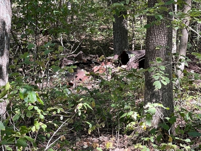 Brethorst Farm Tract 3 - 18.21 +/- acres - image 6