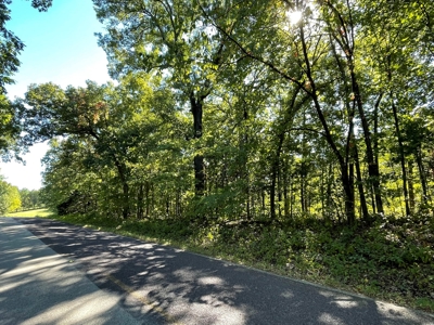 Brethorst Farm Tract 3 - 18.21 +/- acres - image 15