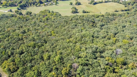 Brethorst Farm Tract 3 - 18.21 +/- acres - image 16
