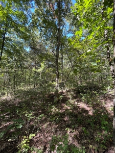 Brethorst Farm Tract 3 - 18.21 +/- acres - image 13