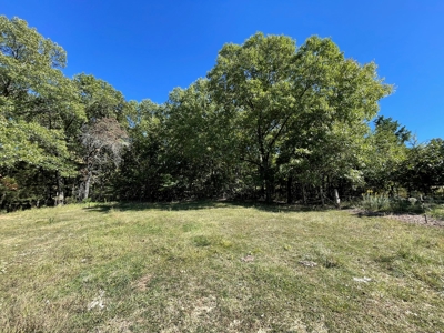 Brethorst Farm Tract 3 - 18.21 +/- acres - image 3