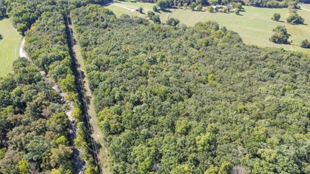 Brethorst Farm Tract 3 - 18.21 +/- acres - image 17