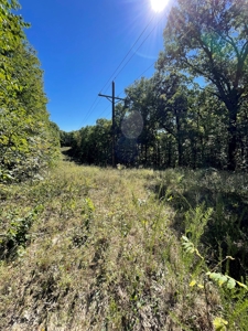 Brethorst Farm Tract 3 - 18.21 +/- acres - image 9