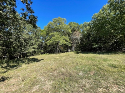 Brethorst Farm Tract 3 - 18.21 +/- acres - image 2