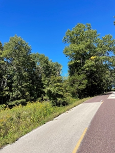 Brethorst Farm Tract 3 - 18.21 +/- acres - image 7