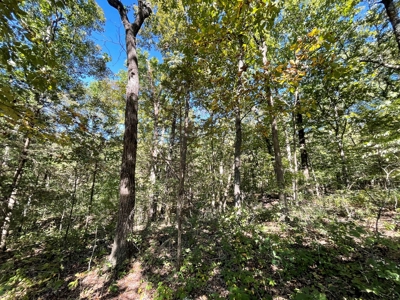 Brethorst Farm Tract 3 - 18.21 +/- acres - image 5