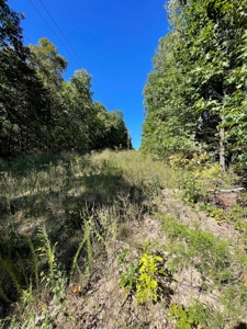 Brethorst Farm Tract 3 - 18.21 +/- acres - image 8