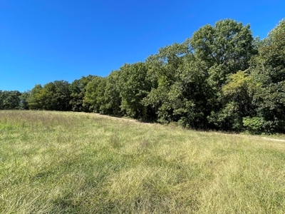 Brethorst Farm Tract 4 -15.27  +/- ac - image 4