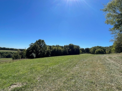 Brethorst Farm Tract 4 -15.27  +/- ac - image 5