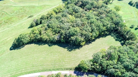 Brethorst Farm Tract 4 -15.27  +/- ac - image 9