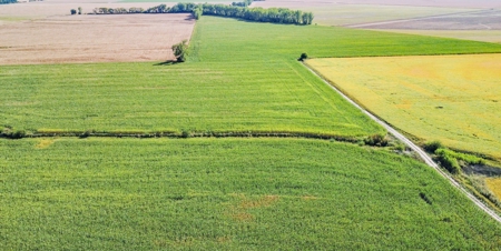 Highly Tillable Row Crop Farm in Missouri River Bottom - image 15