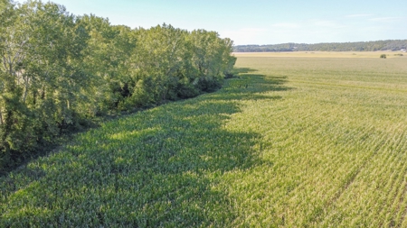 Highly Tillable Row Crop Farm in Missouri River Bottom - image 7