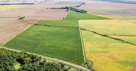 Highly Tillable Row Crop Farm in Missouri River Bottom - image 16
