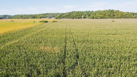 Highly Tillable Row Crop Farm in Missouri River Bottom - image 2