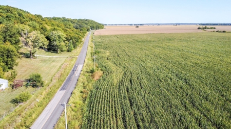 Highly Tillable Row Crop Farm in Missouri River Bottom - image 1