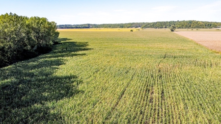Highly Tillable Row Crop Farm in Missouri River Bottom - image 8