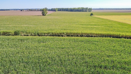 Highly Tillable Row Crop Farm in Missouri River Bottom - image 13