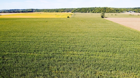 Highly Tillable Row Crop Farm in Missouri River Bottom - image 5