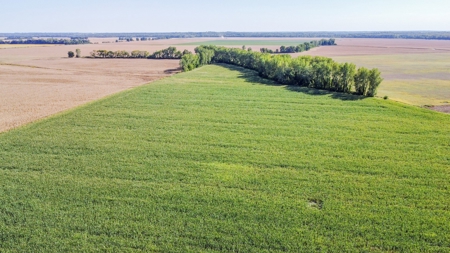 Highly Tillable Row Crop Farm in Missouri River Bottom - image 11